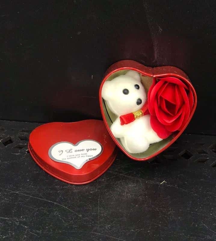Cute Teddy With Rose